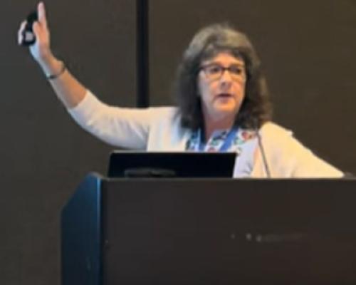 denise hawks